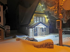 Jahorina Winter Harmony
